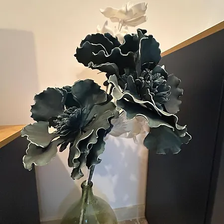 4 Personnes 2 Proche Les Lecques